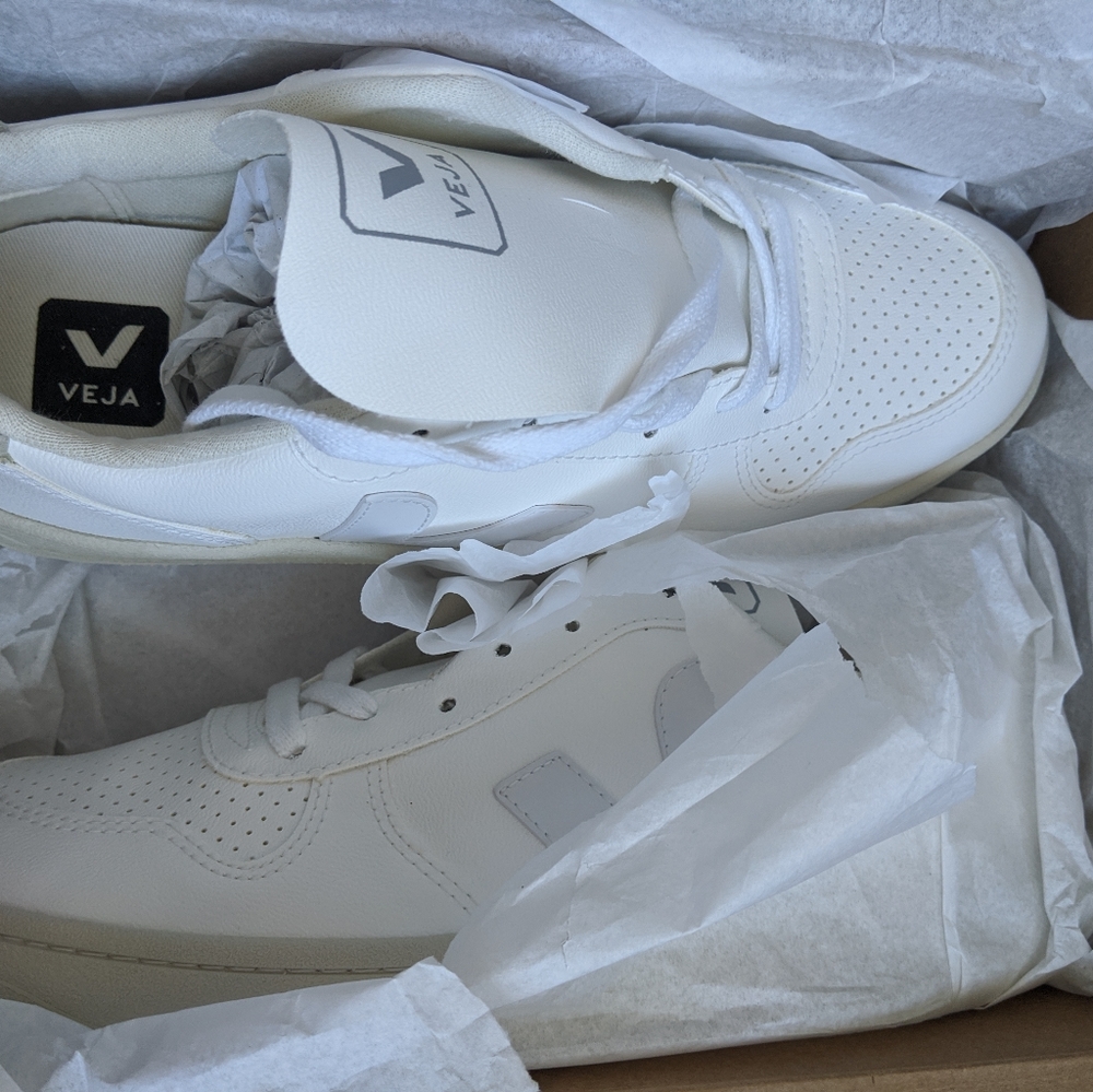 V-10 Vegan Veja Sneakers